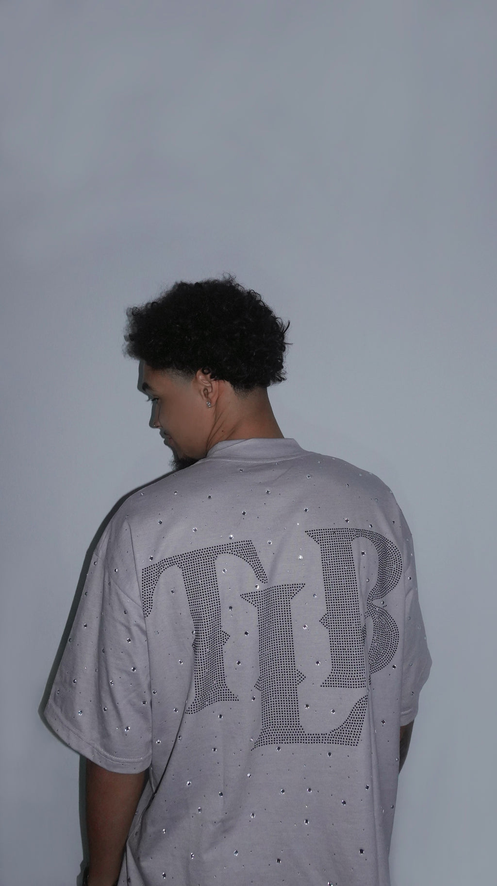 Camiseta TLB Gris