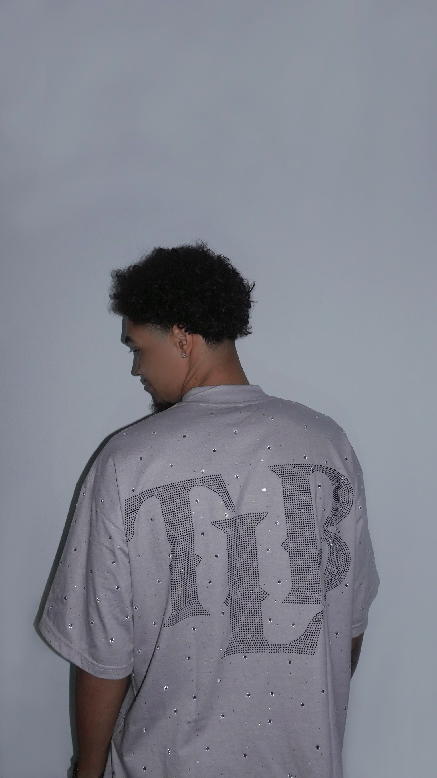 Camiseta TLB Gris